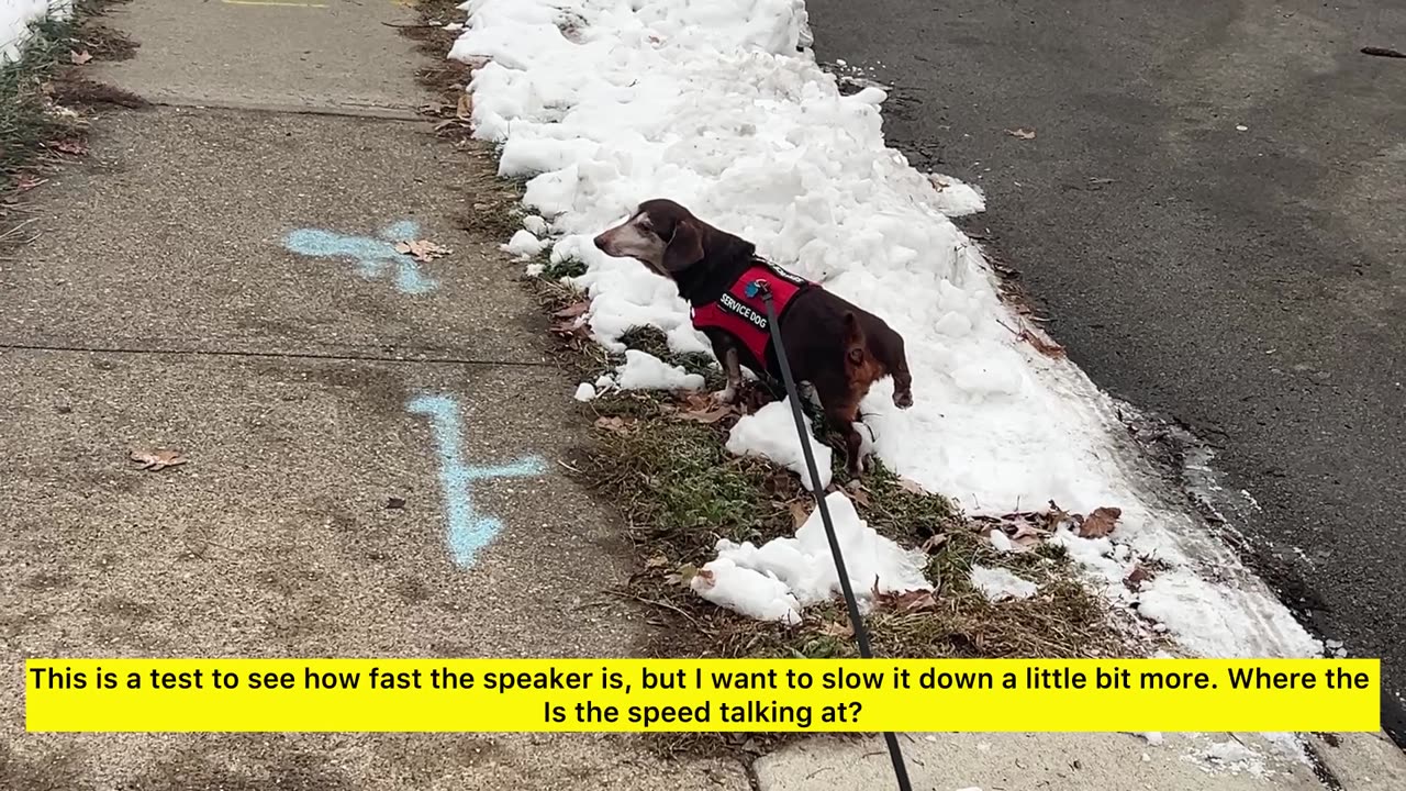 Trying to slow down talking