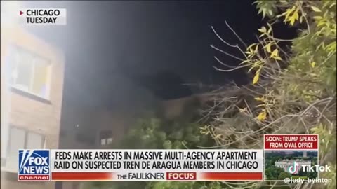 TDA bust in Chicago ..