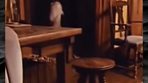 😱👻 Creepy Paranormal Videos Pt.15 | TheHauntingHour