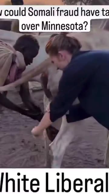 Historians will study the white female liberal mind for decades to come