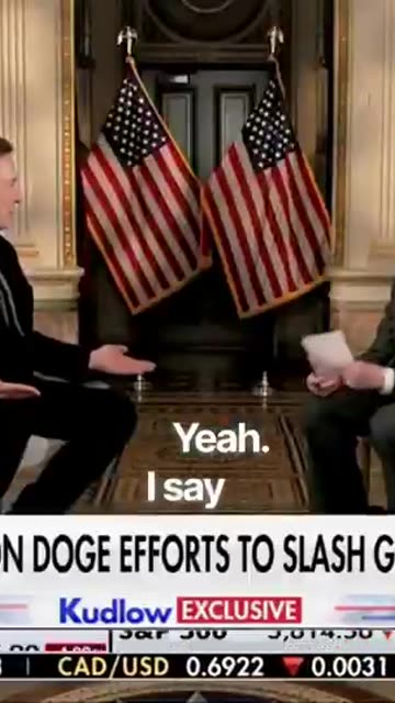 ELON MUSK: "Democrats are trying to import voters