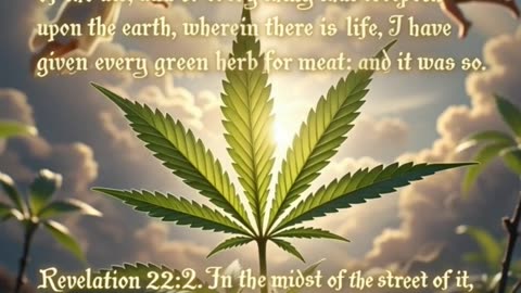 Biblical Botany: Cannabis Through Ages, Benefits & Sacred Anthem