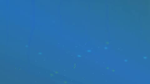 2. Twinkle Twinkle Little Star