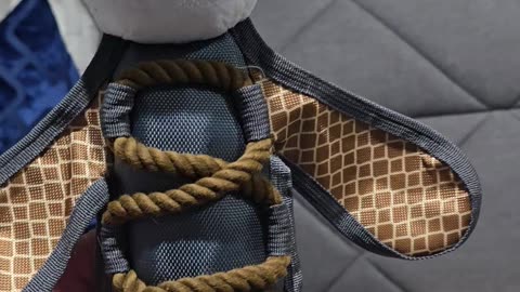 FLYING BAT RACOON FOR BERKELEY FROM UNCLE JAY