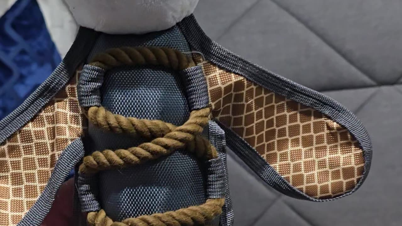 FLYING BAT RACOON FOR BERKELEY FROM UNCLE JAY