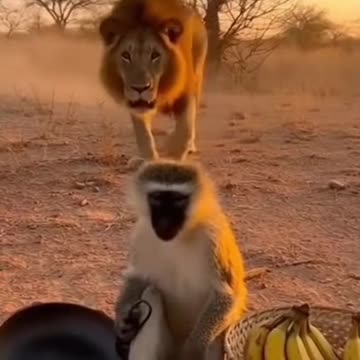 Never Sneak Up on Someone with a Pan 😭😂 | Funny Moment