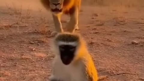 Never Sneak Up on Someone with a Pan 😭😂 | Funny Moment