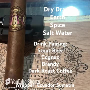 Dapper Cubo Sumatra 4.5x50 Robusto #CigarOfTheDay #CigarReview #Shorts #Short