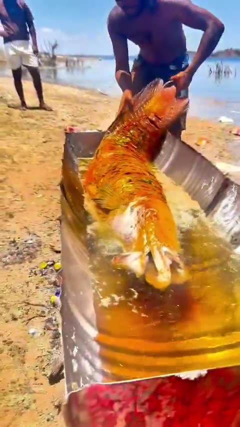 Brazilian man frying a whole giant fish The pirarucu (Arapaima gigas)