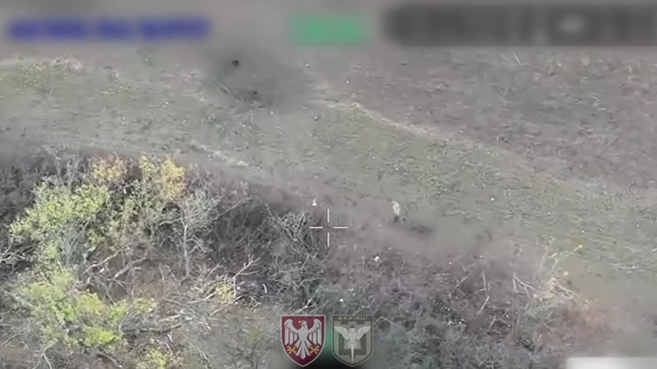 Russian Soldiers Crawling Around the Undergrowth Decide to Make a Break for it