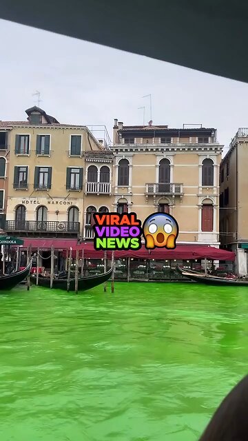 Greta Thunberg and a group of environmental activists painted Venice's