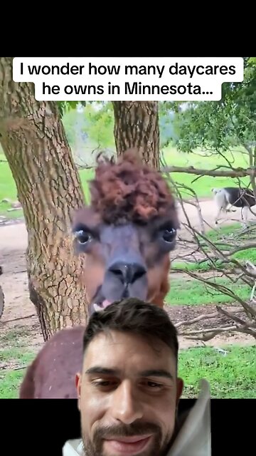 I wonder how many daycares he owns in Minnesota…