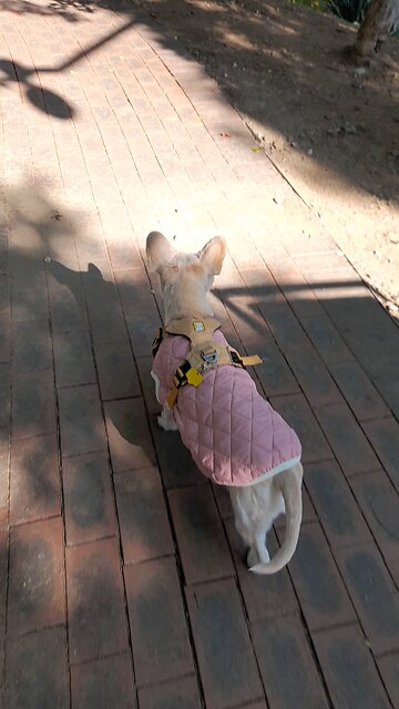 20251101. God Is Love.