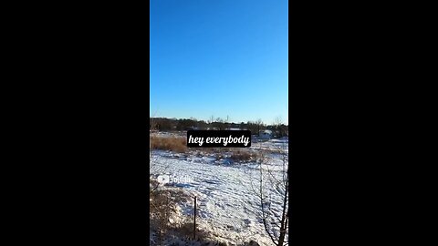 Inside this abandoned racetrack