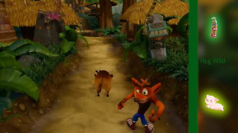 Level 8 | Crash Bandicoot