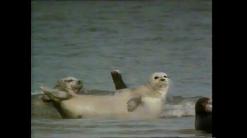 Point Of Departure 1982