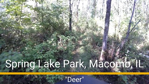 Spring Lake Park MTB trail - "Deer"