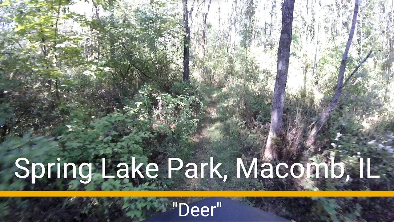 Spring Lake Park MTB trail - "Deer"