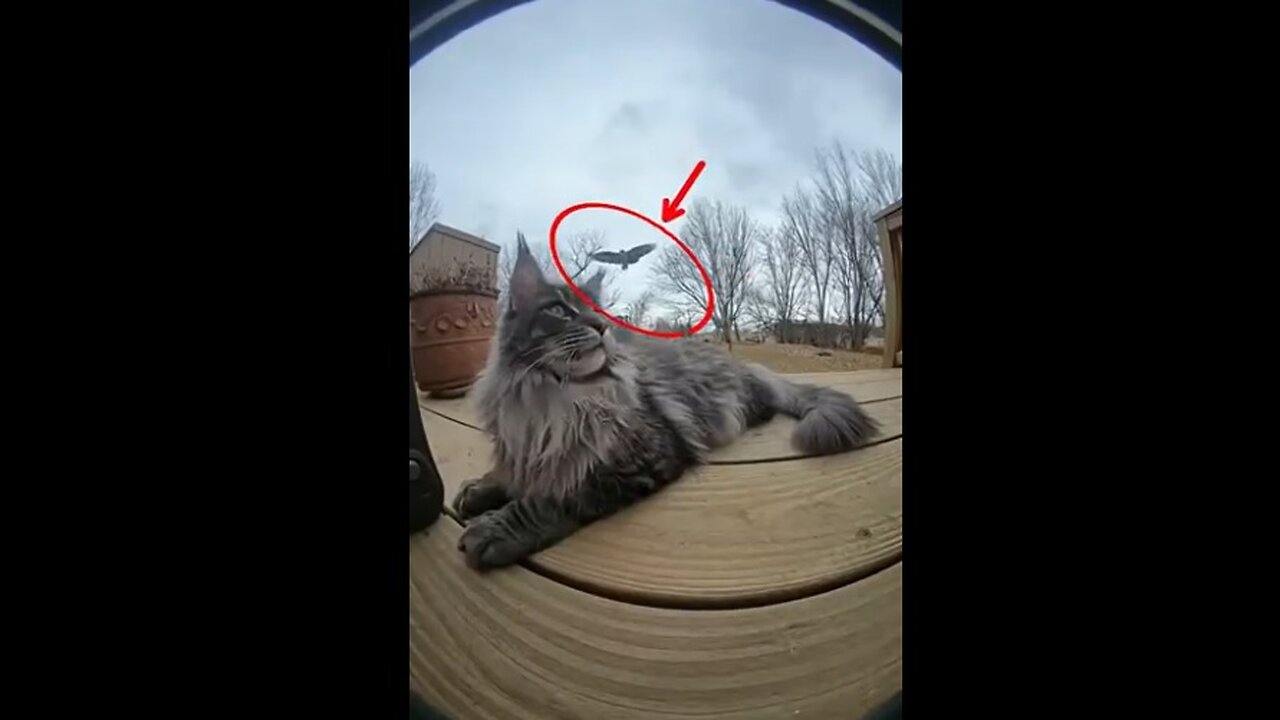 PHEW!!! That WAS Close!