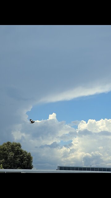 Keep Dreamin' in 2025