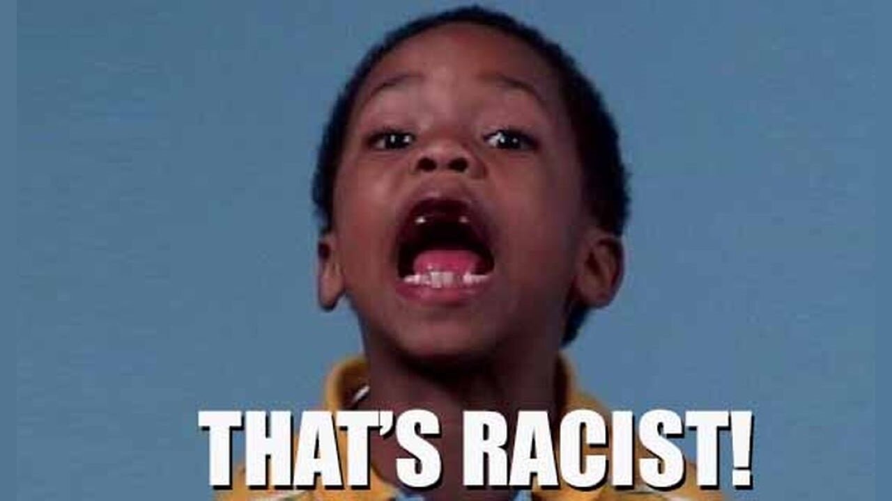 Professor Implies DOGE Rooting Out Government Waste Is Racist