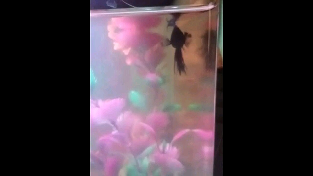 morgoths new friend jotaro
