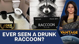 "Drunk Raccoon" Stuns Liquor Store Owner in Virginia | Vantage with Palki Sharma | N18G