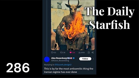 The Daily Starfish #286