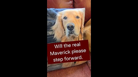 Will the real Maverick please step forward?