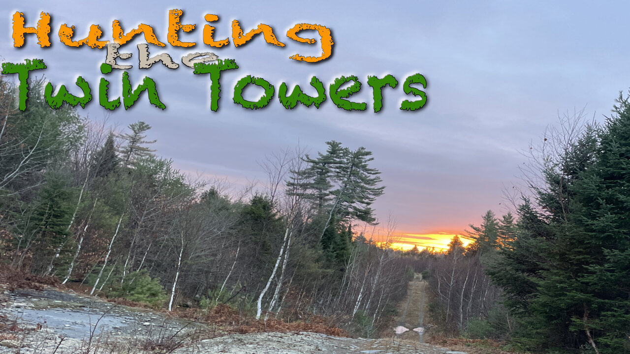 Hunting the Twin Towers