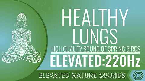 220 Hz Frequency For Healthy Lungs with Spring Birds