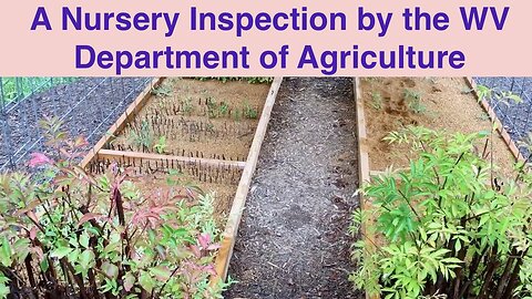 Nursery Inspection by the WV Department of Agriculture