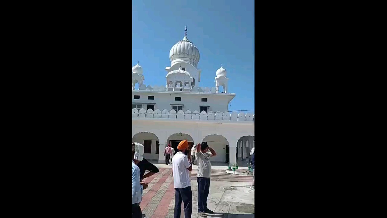 satisfying Video