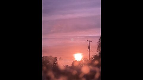 Florida’s Chemical Skyline