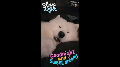 GOOD MIGHT SLEEPY HEADS