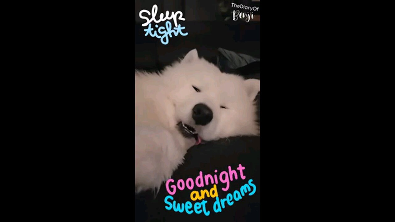 GOOD MIGHT SLEEPY HEADS