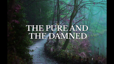 THE PURE AND THE DAMNED