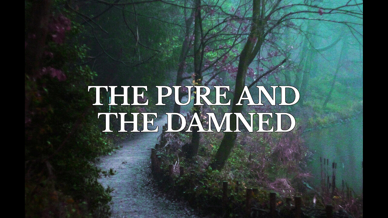 THE PURE AND THE DAMNED