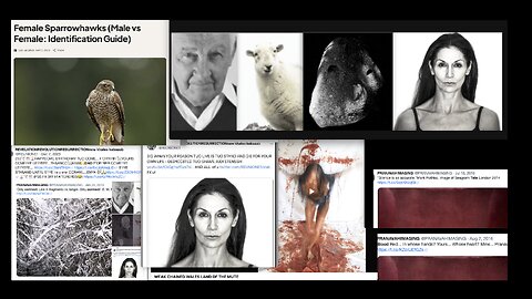 3 video 666 happy wxnkmass trump 120324122025 TUO@ 183623122025 1 MONOL1T6H @182723122025 V1DCCMEOH 665 HIGH RES B - BE4 THe SPARROWHAWECC... 161823122025 LRA RELEASED 162423122025