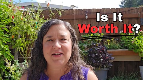 The Real ROI of Urban Homesteading (An Entrepreneur's Take)