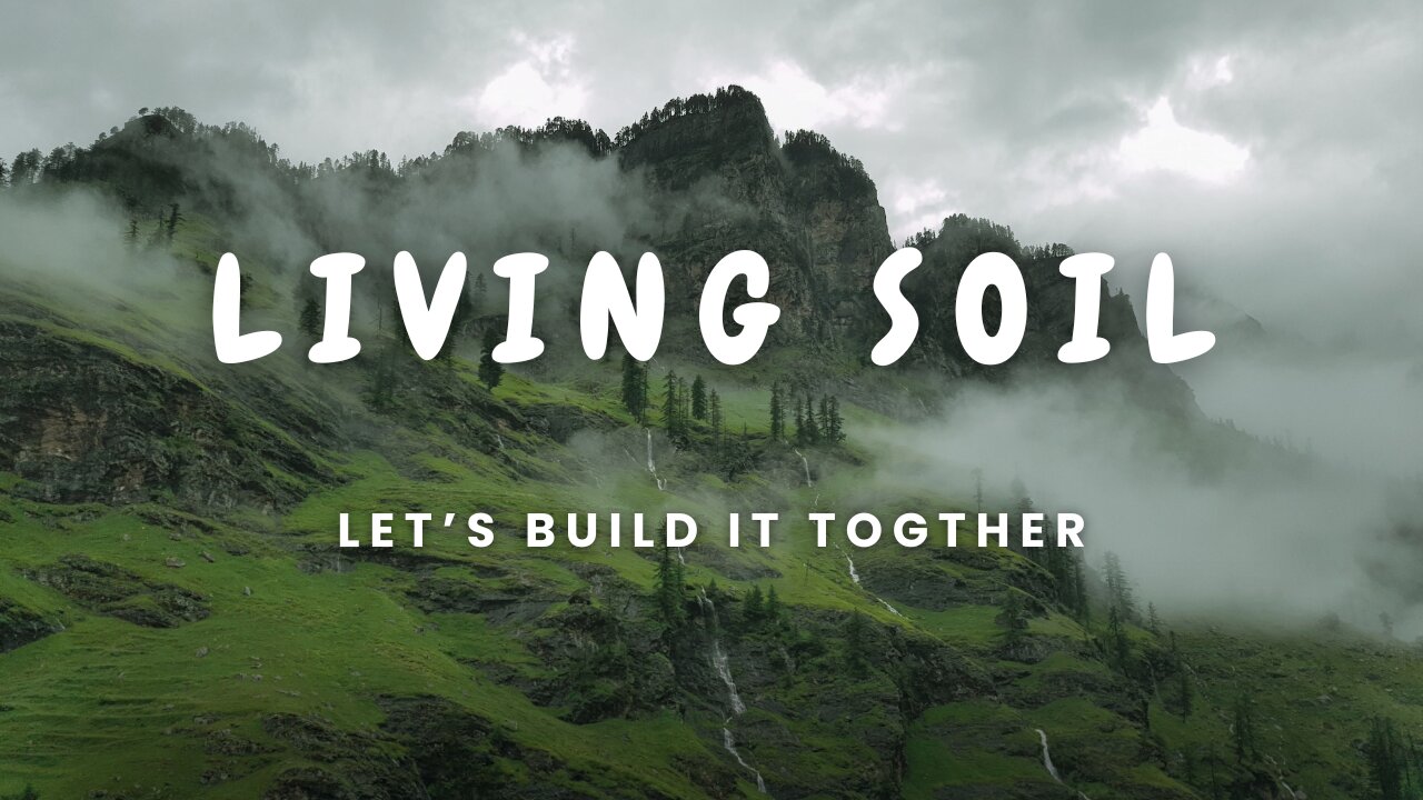 Let's Build Coco Based Living Soil