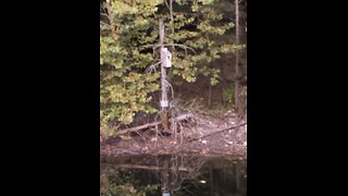 God is good all the time 1478: Graciousness, Gratefulnes and Gratitude