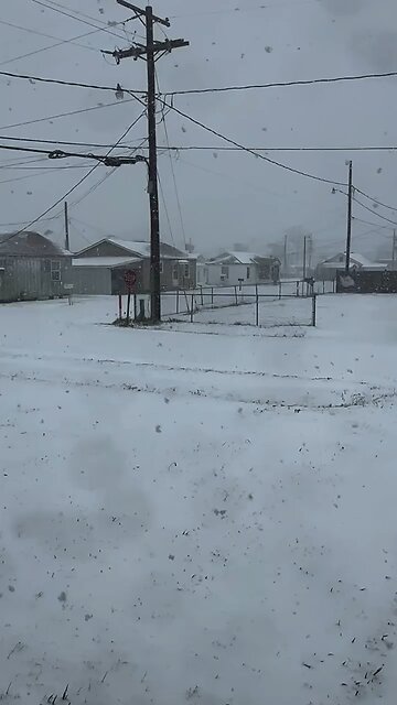 250121 Houma Blizzard