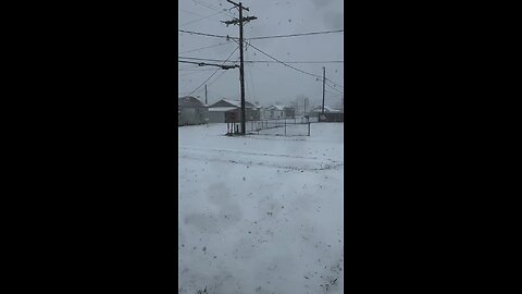 250121 Houma Blizzard