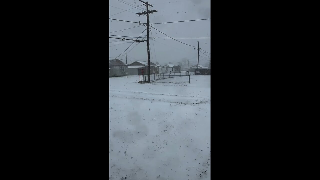 250121 Houma Blizzard