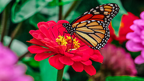 Simple Beauty A Week In Review 25 12 23