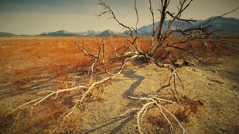 Jeff Mapstone - Fields of Clay