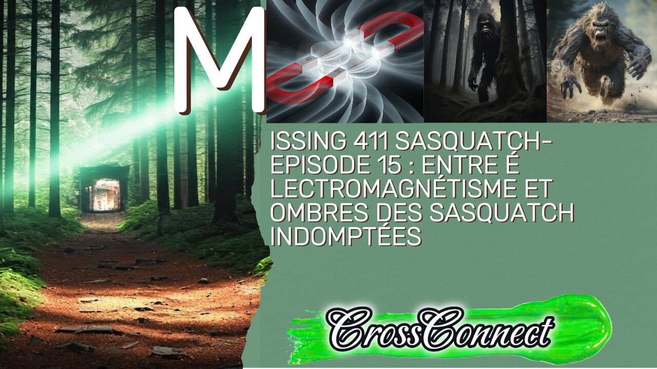 Missing 411 Sasquatch - Episode 15 : Entre Électromagnétisme et Ombres des Sasquatch Indomptées