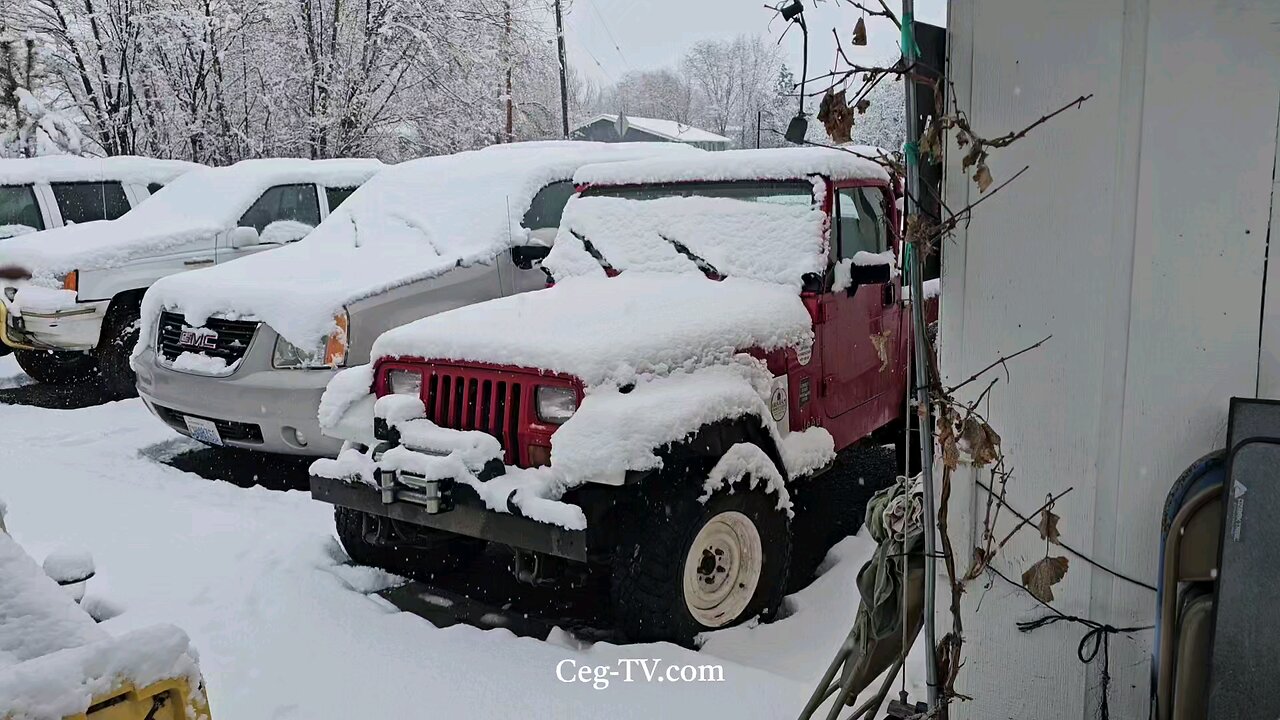 Graham Family Farm: Snow - 10:00 AM February 19 2025