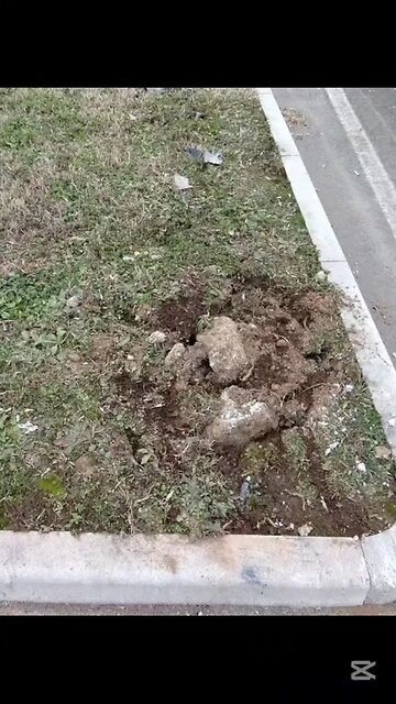 che succede a Magenta?